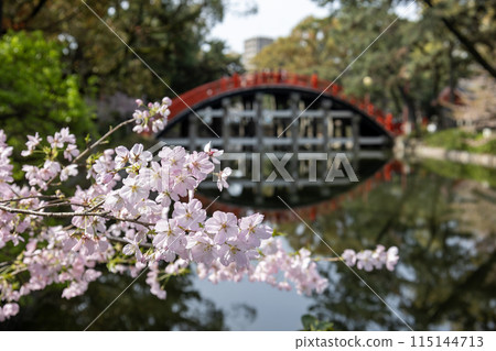 Osaka / Sumiyoshi Taisha Shrine's red Soribashi Bridge (photographed on April 9, 2024) Osaka / Sumiyoshi Taisha Shrine's red Soribashi Bridge (photographed on April 9, 2024) 115144713