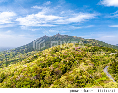 Cherry blossoms blooming on Mount Tsukuba (Ibaraki Prefecture) 115144831