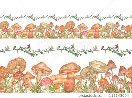 Forest seamless horizontal border with hand-drawn mushrooms, leaves, berries on a white background. Endless watercolor frame with poisonous mushrooms for banners, wallpapers, ornaments, stationery Forest seamless horizontal border with hand-drawn mushrooms, leaves, berries on a white background. Endless watercolor frame with poisonous mushrooms for banners, wallpapers, ornaments, stationery 115145094