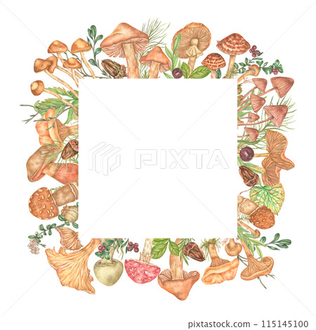 Floral frame with mushrooms, leaves, berries and acorns made in watercolor. An empty space for the text. A square frame on a white background, for creating postcards, invitations, packaging design. 115145100