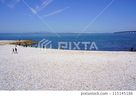 臨空公園大理石海灘(大阪府泉佐野市) 臨空公園大理石海灘(大阪府泉佐野市) 115145186