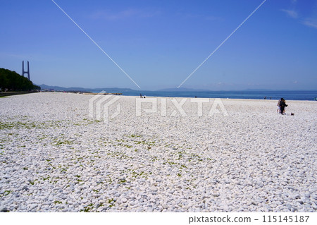 臨空公園大理石海灘（大阪府泉佐野市） 115145187