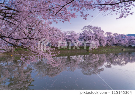 《長野縣》櫻花季的六道堤防和著名的賞櫻勝地 《長野縣》櫻花季的六道堤防和著名的賞櫻勝地 115145364