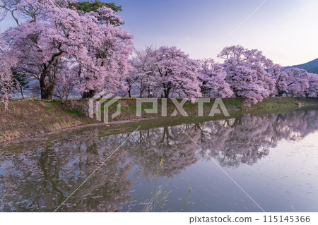 《長野縣》櫻花季的六道堤防和著名的賞櫻勝地 《長野縣》櫻花季的六道堤防和著名的賞櫻勝地 115145366
