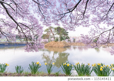 《長野縣》櫻花季的六道堤防和著名的賞櫻勝地 《長野縣》櫻花季的六道堤防和著名的賞櫻勝地 115145411