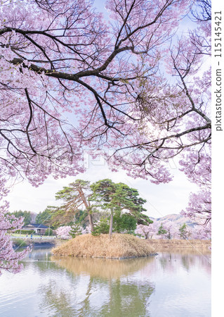 《長野縣》櫻花季的六道堤防和著名的賞櫻勝地 《長野縣》櫻花季的六道堤防和著名的賞櫻勝地 115145421