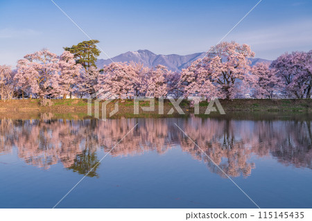<Nagano Prefecture> Rokudo-no-tsutsumi cherry blossom viewing spot during the cherry blossom season 115145435