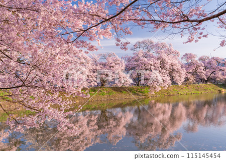 《長野縣》櫻花季的六道堤防和著名的賞櫻勝地 115145454
