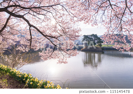《長野縣》櫻花季的六道堤防和著名的賞櫻勝地 《長野縣》櫻花季的六道堤防和著名的賞櫻勝地 115145478