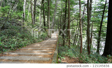 Kamikochi: Boardwalk in the Dakezawa Marsh Kamikochi: Boardwalk in the Dakezawa Marsh 115145656