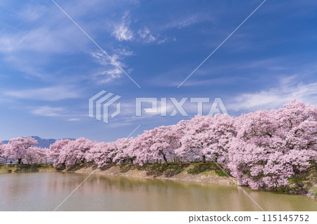 《長野縣》櫻花季的六道堤防和著名的賞櫻勝地 115145752