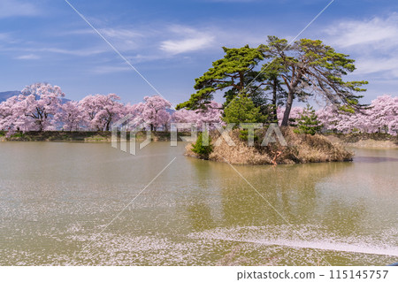 <Nagano Prefecture> Rokudo-no-tsutsumi cherry blossom viewing spot during the cherry blossom season 115145757