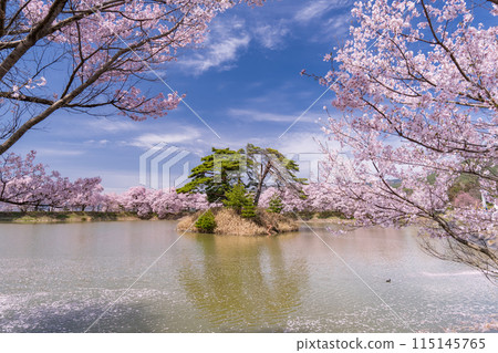 《長野縣》櫻花季的六道堤防和著名的賞櫻勝地 115145765