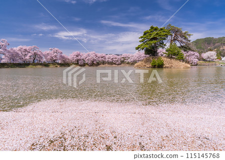 《長野縣》櫻花季的六道堤防和著名的賞櫻勝地 115145768