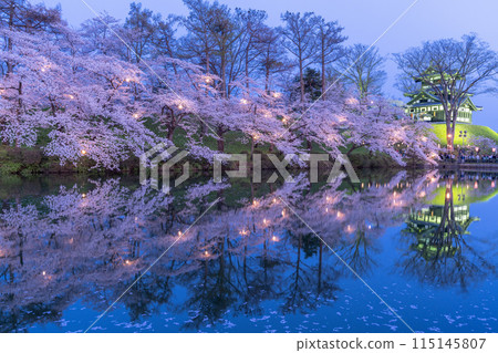 [Niigata Prefecture] Cherry blossoms in full bloom, night view of Takada Castle Ruins Park in spring 115145807