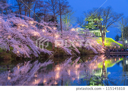 [Niigata Prefecture] Cherry blossoms in full bloom, night view of Takada Castle Ruins Park in spring 115145810