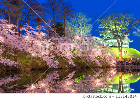 [Niigata Prefecture] Cherry blossoms in full bloom, night view of Takada Castle Ruins Park in spring 115145814