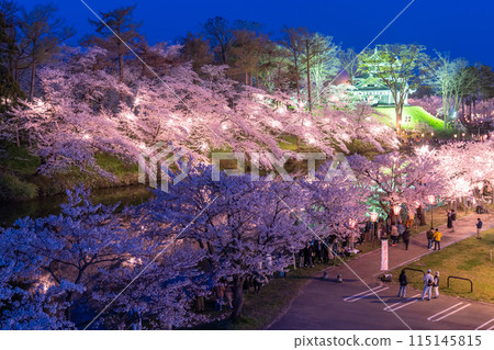 【新潟縣】櫻花盛開，春天的高田城跡公園夜景 115145815