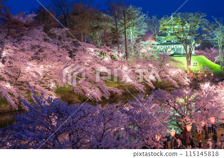 [Niigata Prefecture] Cherry blossoms in full bloom, night view of Takada Castle Ruins Park in spring 115145818