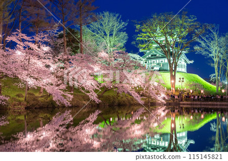 [Niigata Prefecture] Cherry blossoms in full bloom, night view of Takada Castle Ruins Park in spring 115145821