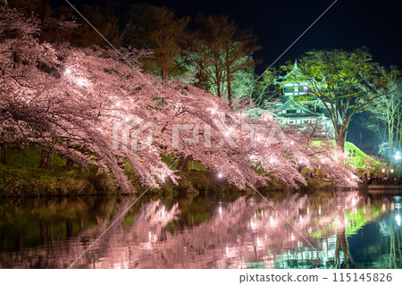 [Niigata Prefecture] Cherry blossoms in full bloom, night view of Takada Castle Ruins Park in spring 115145826