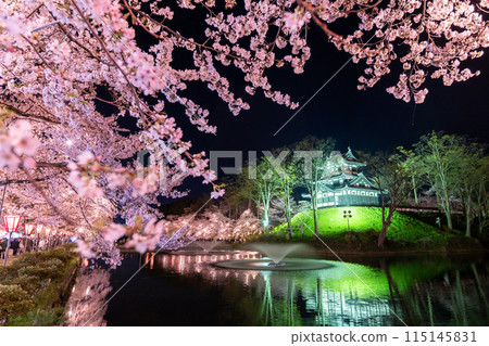 【新潟縣】櫻花盛開,春天的高田城跡公園夜景 【新潟縣】櫻花盛開,春天的高田城跡公園夜景 115145831