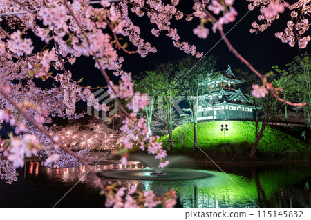 [Niigata Prefecture] Cherry blossoms in full bloom, night view of Takada Castle Ruins Park in spring 115145832