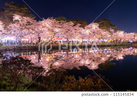 [Niigata Prefecture] Cherry blossoms in full bloom, night view of Takada Castle Ruins Park in spring 115145834