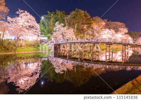 [Niigata Prefecture] Cherry blossoms in full bloom, night view of Takada Castle Ruins Park in spring 115145836