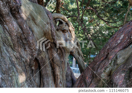 Houjouin Houjouin 115146075