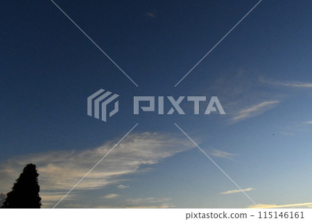 一棵樹上方明亮清新的天空 一棵樹上方明亮清新的天空 115146161