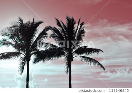 Palm Tree Leaves Against The Sky, Juicy Tropical Background 115146245