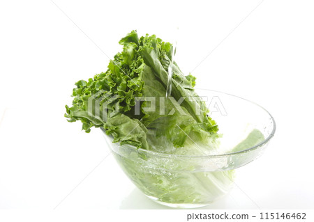 Green leaf lettuce g Rashi ball Washed with water 115146462