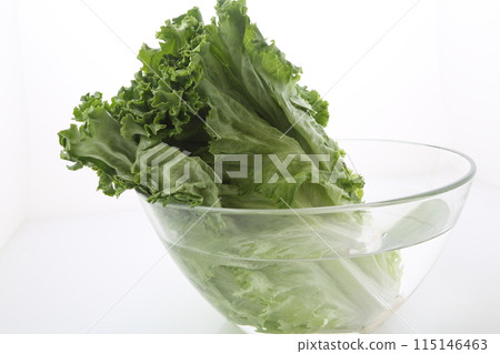 綠葉生菜 115146463