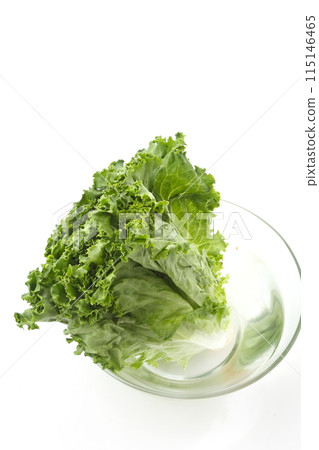 Green leaf lettuce crow balls high angle 115146465