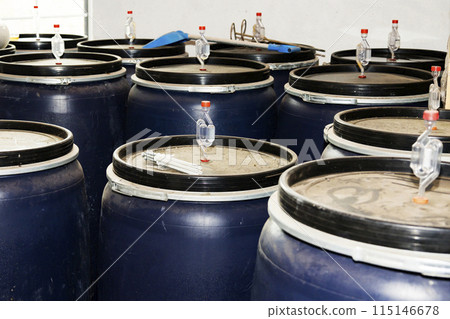 A plastic barrel with crushed grapes. The process of making wine A plastic barrel with crushed grapes. The process of making wine 115146678