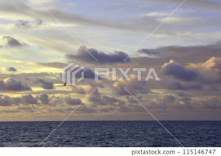 Sunrise Sky Over The Sea, Beautiful Cloudscape, Dramatic Landscape, Seascape 115146747