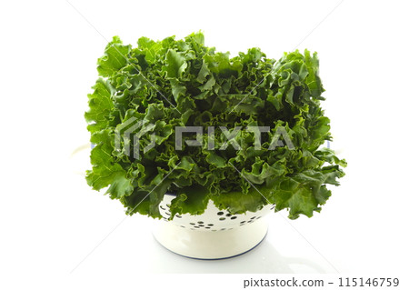 Green Leaf Lettuce Small Lander 115146759