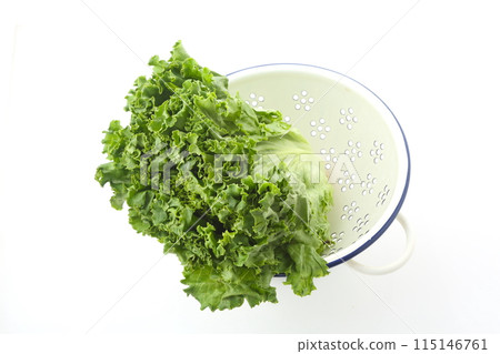 綠葉生菜小型著陸器 115146761