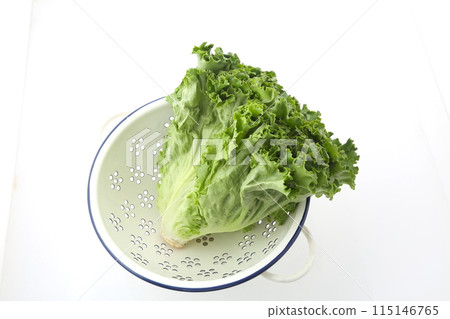 Green Leaf Lettuce Small Lander Green Leaf Lettuce Small Lander 115146765