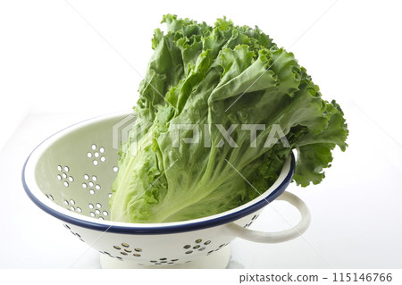 綠葉生菜小型著陸器 115146766