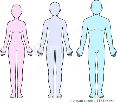 Male, female and unisex body silhouette 115146768