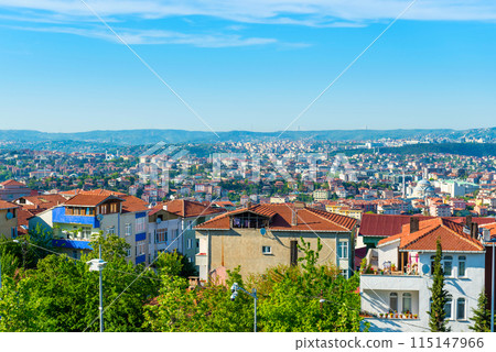Istanbul city view 115147966