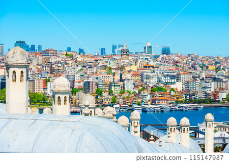 Istanbul city view 115147987