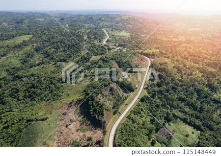 Going on beautiful road theme Going on beautiful road theme 115148449