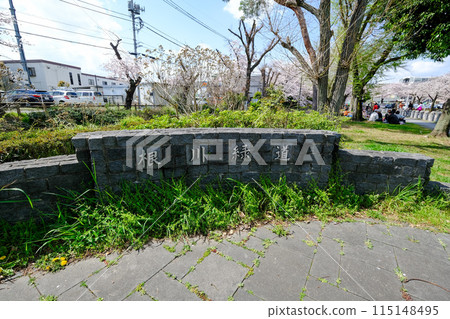 東京立川市春天根川綠道風景 東京立川市春天根川綠道風景 115148495