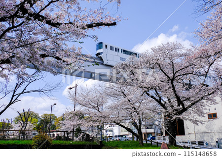 立川市，東京，春天，根川綠道風景與多摩單軌電車 115148658