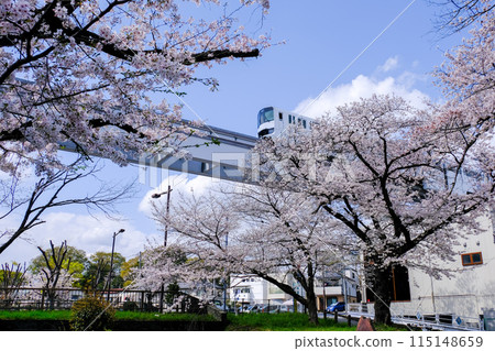 立川市，東京，春天，根川綠道風景與多摩單軌電車 115148659