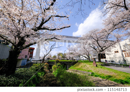 東京立川市春天根川綠道風景 東京立川市春天根川綠道風景 115148713