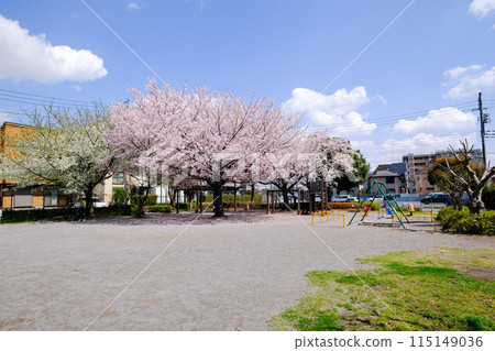 綠川西公園, 國立市, 東京, 春天 115149036